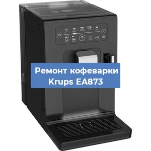 Чистка кофемашины Krups EA873 от кофейных масел в Москве